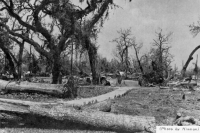 Trinity Episcopal Church After Hurricane Camille (201 KB)