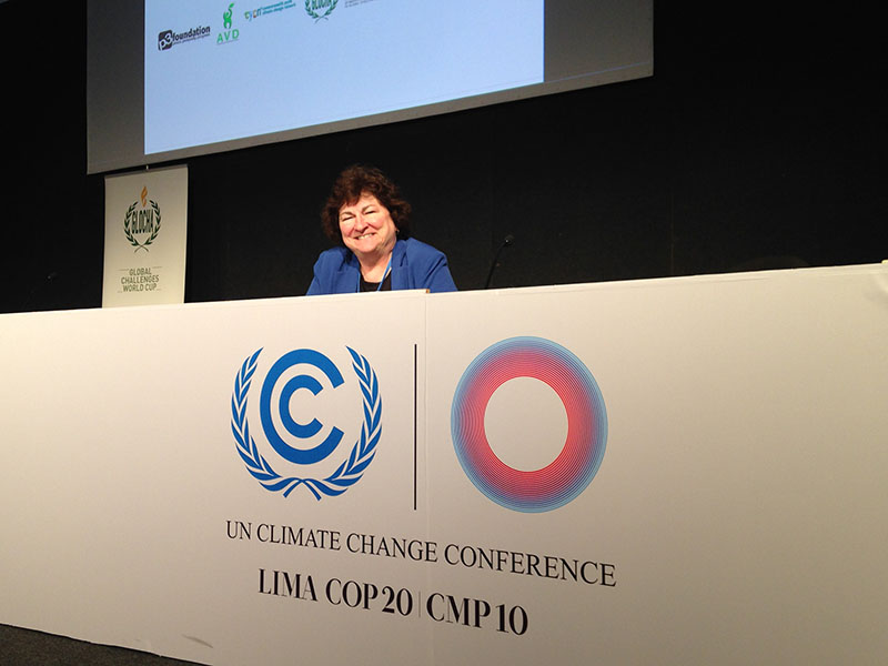 Marilyn Averill at COP 2014