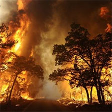 Colorado wildfire