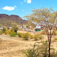 Photo Gallery by 2019 Red Cross/Red Crescent Climate Centre Junior Researcher, Sarah Posner. The shrub-like Prosopis under an acacia tree dots the landscape.