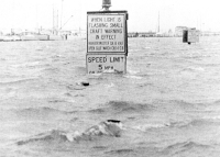 Hurricane Camille's Rising Tide (187 KB)