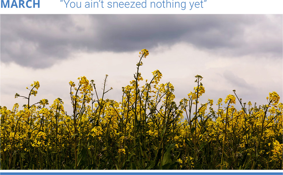 “You ain’t sneezed nothing yet"