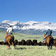 Rocky Mountain Ranchers