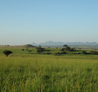 landscape in Kidepo