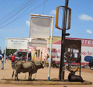 Downtown Lira